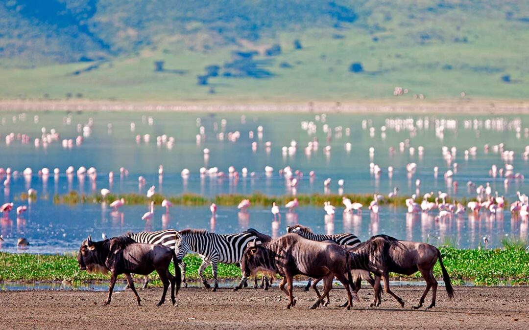 Nord Tansania Safari und Insel Sansibar 13 Tage
